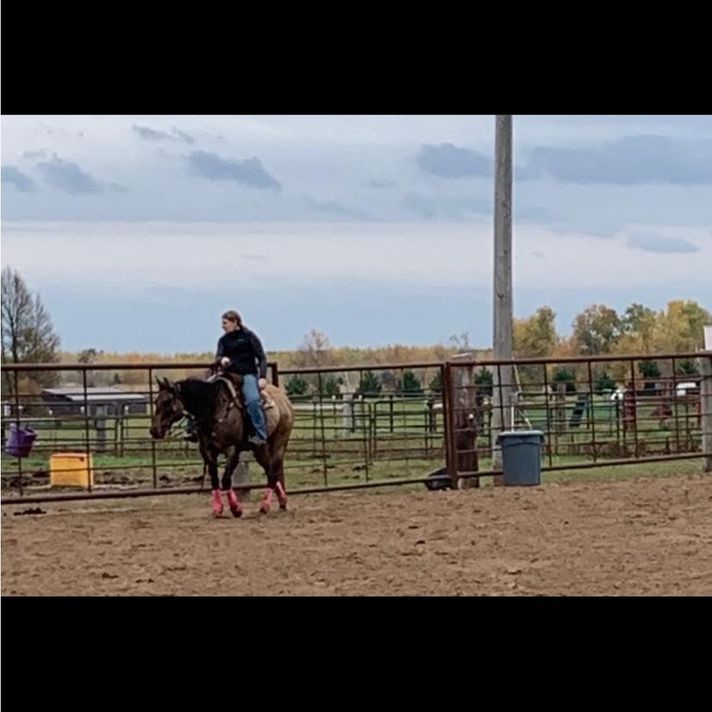 Looking for 7 for all mankind and ariat trouser jeans and thunder bird shirts